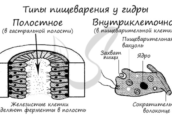 Кракен тор gigageek ru