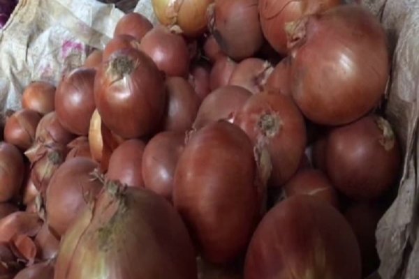 Кракен вход kraken6 onion