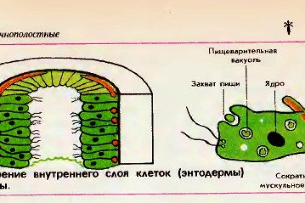 Аутентификатор кракен