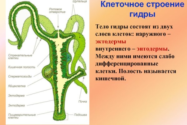 Кракен ссылка на сайт